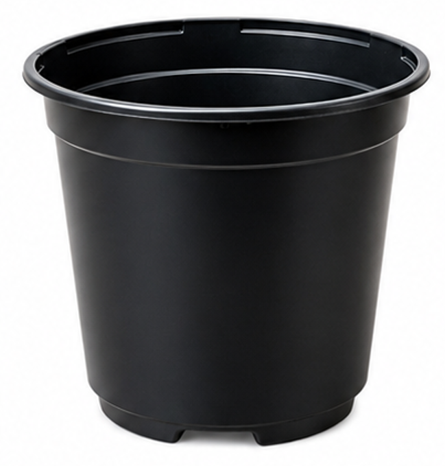 Maceta T22 Negra 50ud.